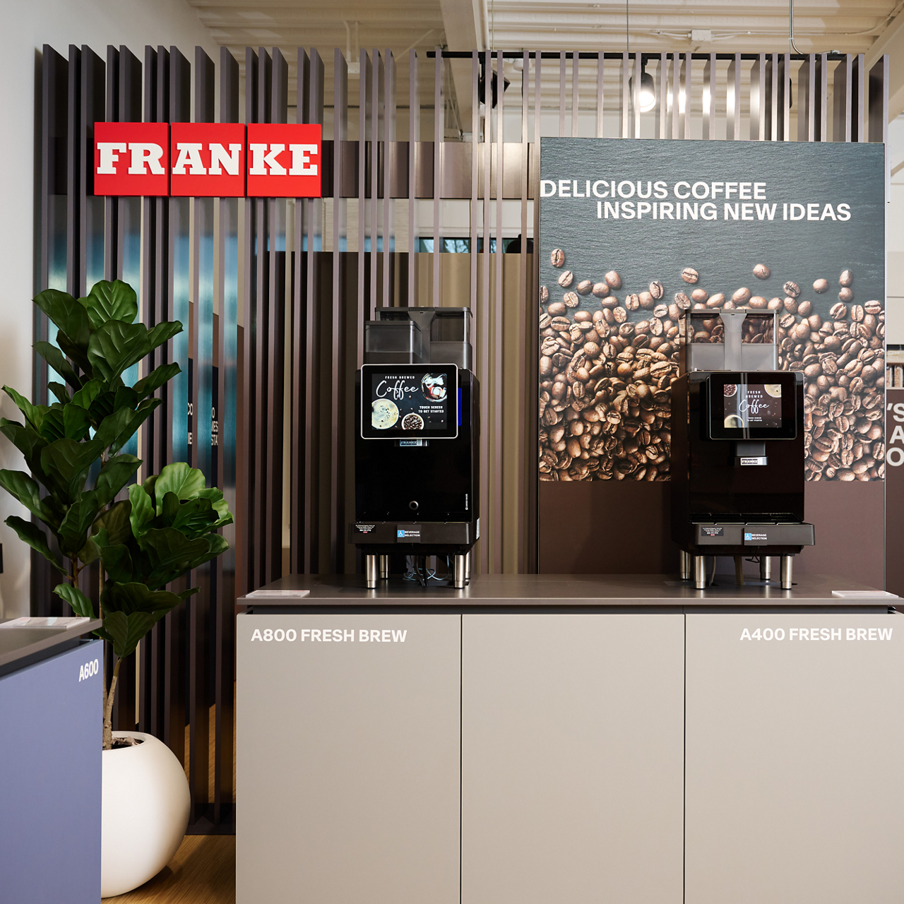 Showroom Opening